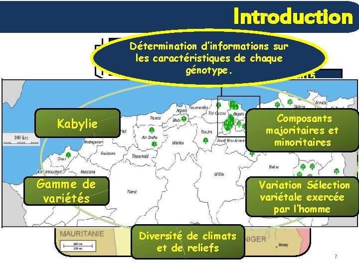 Introduction En 2009, Détermination d’informations sur 32 les millions caractéristiques de chaque d’oliviers génotype.