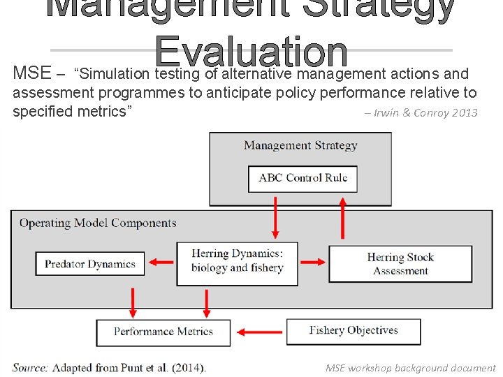 Management Strategy Evaluation MSE – “Simulation testing of alternative management actions and assessment programmes