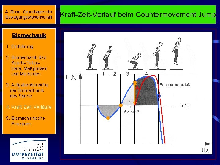 A. Bund: Grundlagen der Bewegungswissenschaft Kraft-Zeit-Verlauf beim Countermovement Jump Biomechanik 1. Einführung 2. Biomechanik