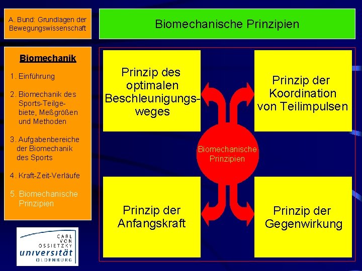 A. Bund: Grundlagen der Bewegungswissenschaft Biomechanische Prinzipien Biomechanik 1. Einführung 2. Biomechanik des Sports-Teilgebiete,