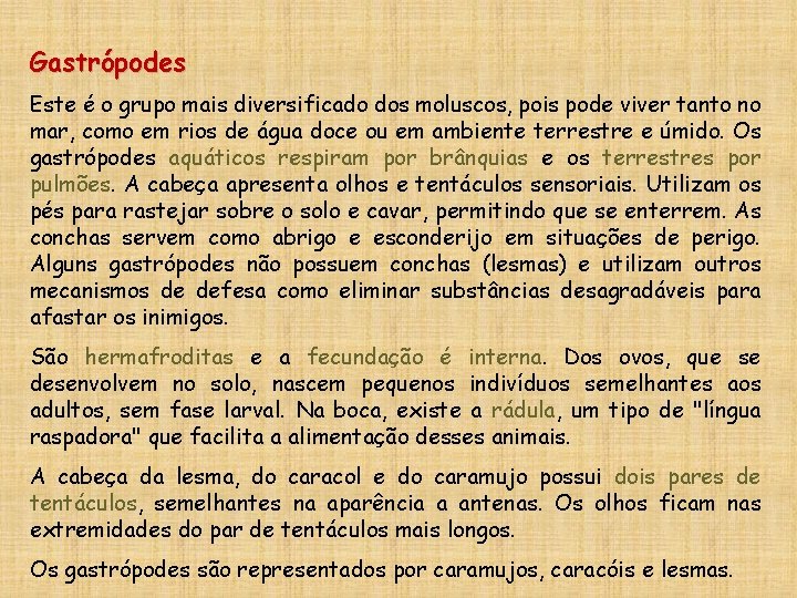 Gastrópodes Este é o grupo mais diversificado dos moluscos, pois pode viver tanto no