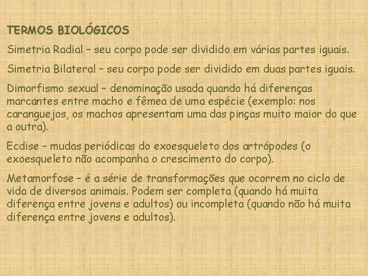 TERMOS BIOLÓGICOS Simetria Radial – seu corpo pode ser dividido em várias partes iguais.