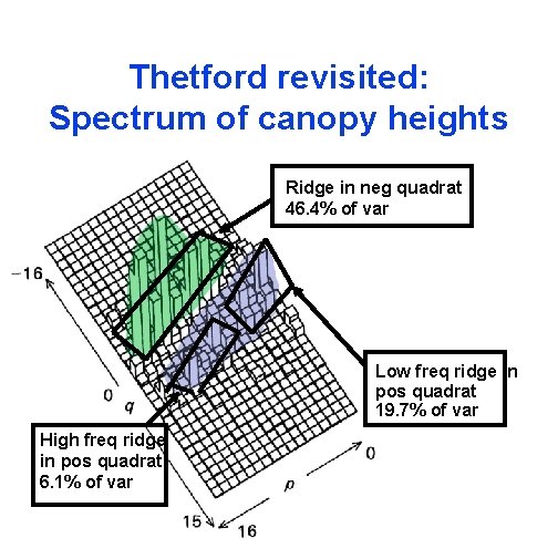 Thetford revisited: Spectrum of canopy heights Ridge in neg quadrat 46. 4% of var