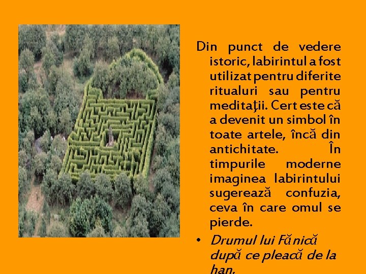Din punct de vedere istoric, labirintul a fost utilizat pentru diferite ritualuri sau pentru