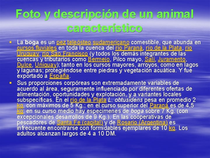Foto y descripción de un animal característico § La boga es un pez teleósteo