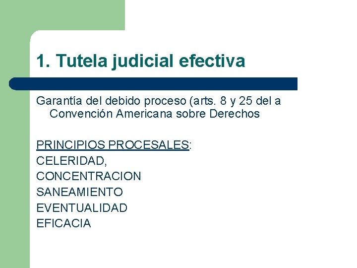 1. Tutela judicial efectiva Garantía del debido proceso (arts. 8 y 25 del a