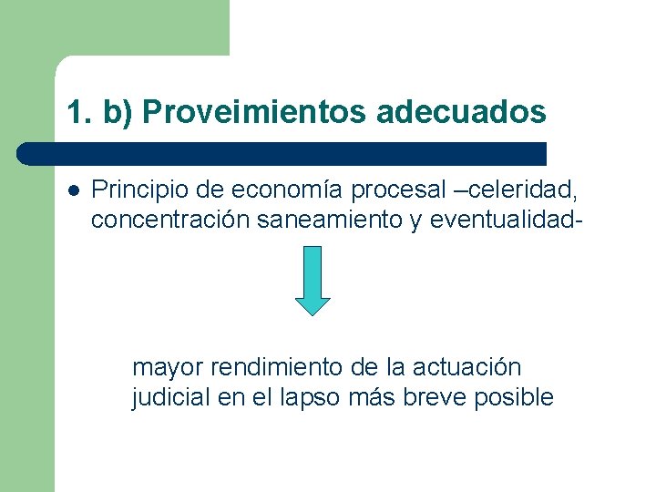 1. b) Proveimientos adecuados l Principio de economía procesal –celeridad, concentración saneamiento y eventualidad-