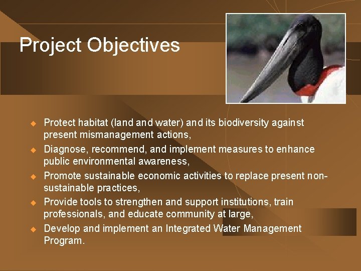 Project Objectives u u u Protect habitat (land water) and its biodiversity against present