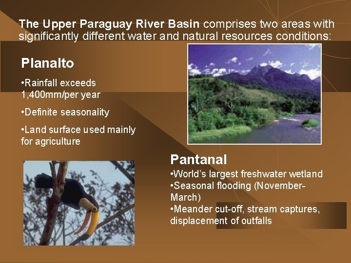 The Upper Paraguay River Basin comprises two areas with significantly different water and natural