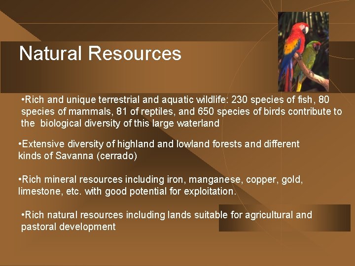 Natural Resources • Rich and unique terrestrial and aquatic wildlife: 230 species of fish,