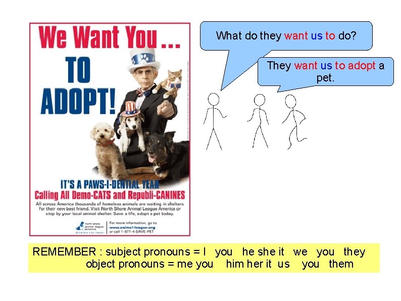 What do they want us to do? They want us to adopt a pet.