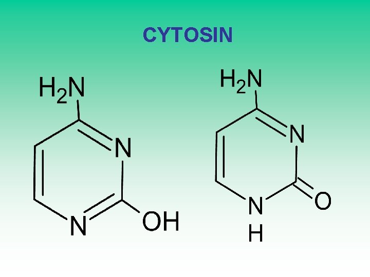  CYTOSIN 