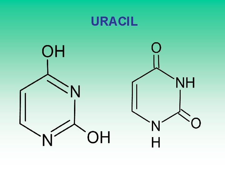  URACIL 