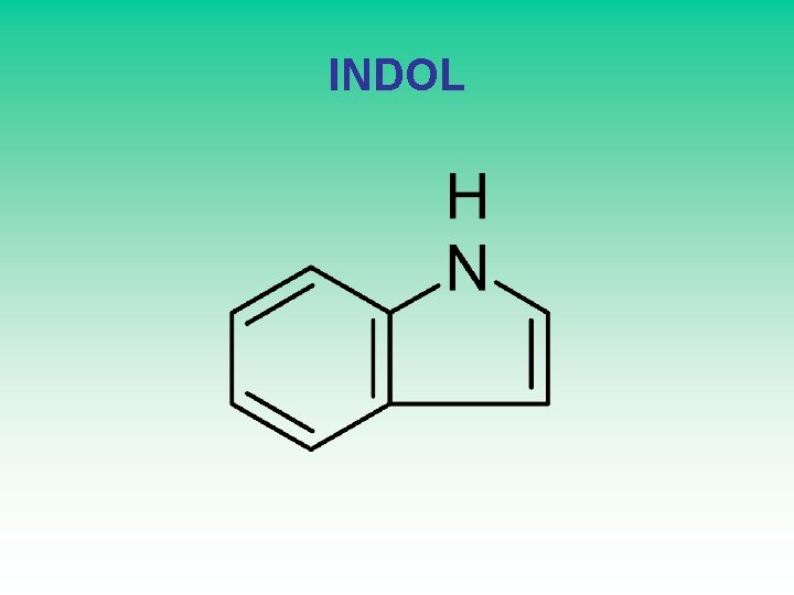 INDOL 