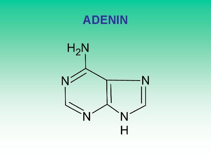 ADENIN 