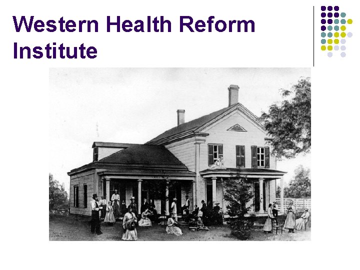 Western Health Reform Institute 