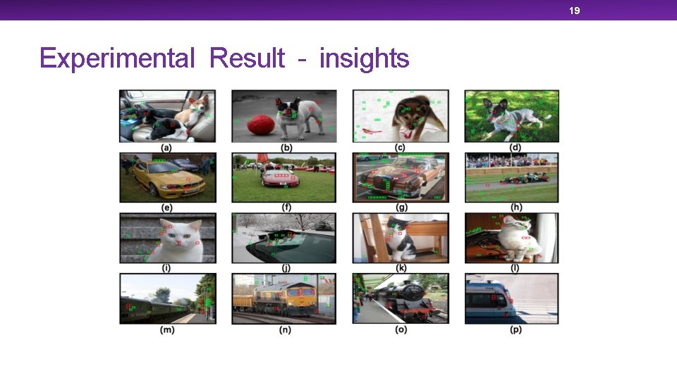 19 Experimental Result - insights 