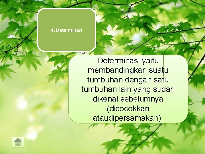 4. Determinasi yaitu membandingkan suatu tumbuhan dengan satu tumbuhan lain yang sudah dikenal sebelumnya