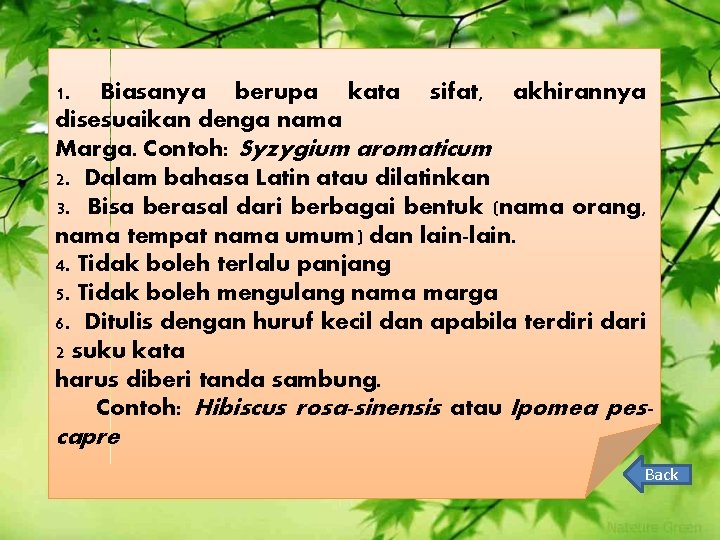 1. Biasanya berupa kata sifat, akhirannya disesuaikan denga nama Marga. Contoh: Syzygium aromaticum 2.