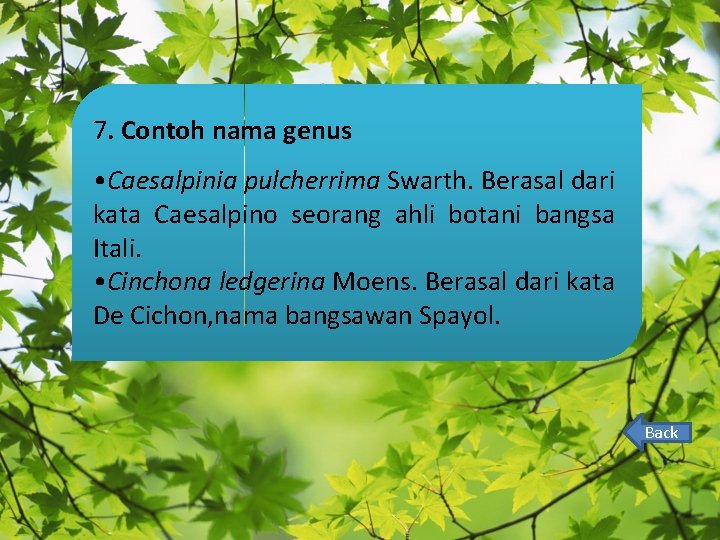 7. Contoh nama genus • Caesalpinia pulcherrima Swarth. Berasal dari kata Caesalpino seorang ahli