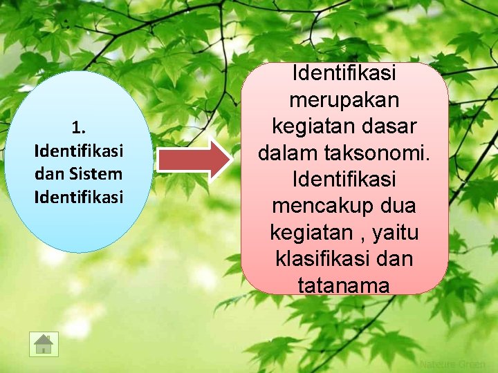 1. Identifikasi dan Sistem Identifikasi merupakan kegiatan dasar dalam taksonomi. Identifikasi mencakup dua kegiatan