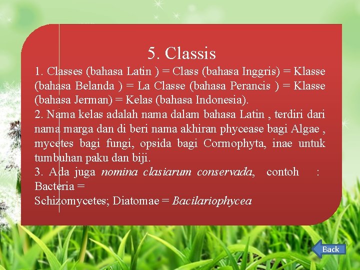 5. Classis 1. Classes (bahasa Latin ) = Class (bahasa Inggris) = Klasse (bahasa