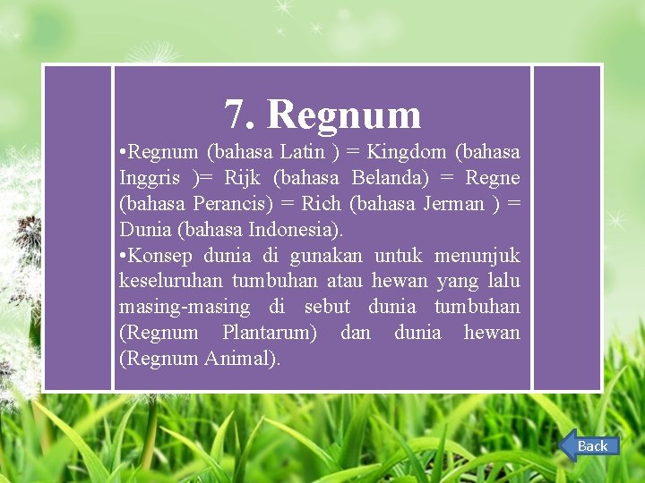 7. Regnum • Regnum (bahasa Latin ) = Kingdom (bahasa Inggris )= Rijk (bahasa