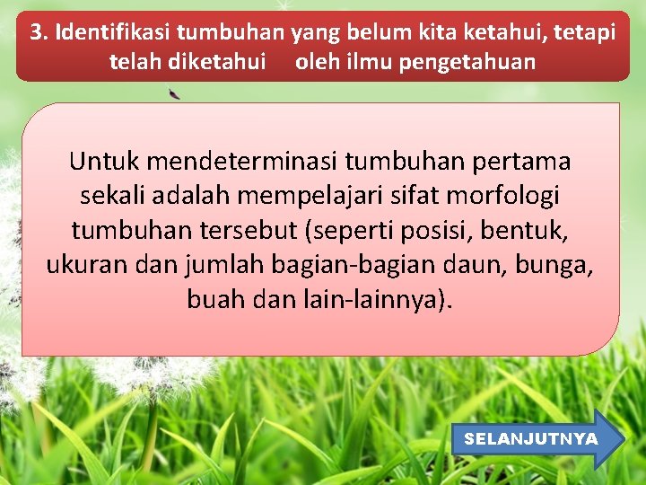 3. Identifikasi tumbuhan yang belum kita ketahui, tetapi telah diketahui oleh ilmu pengetahuan Untuk