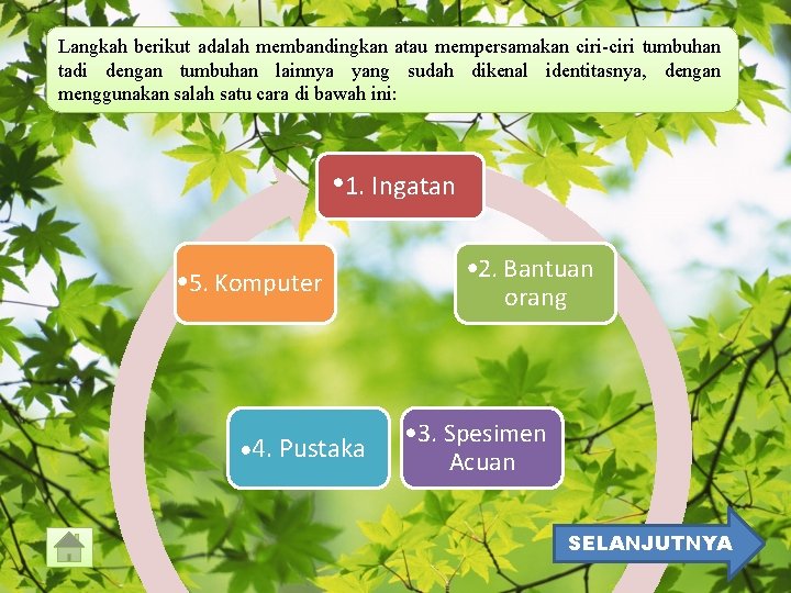 Langkah berikut adalah membandingkan atau mempersamakan ciri-ciri tumbuhan tadi dengan tumbuhan lainnya yang sudah