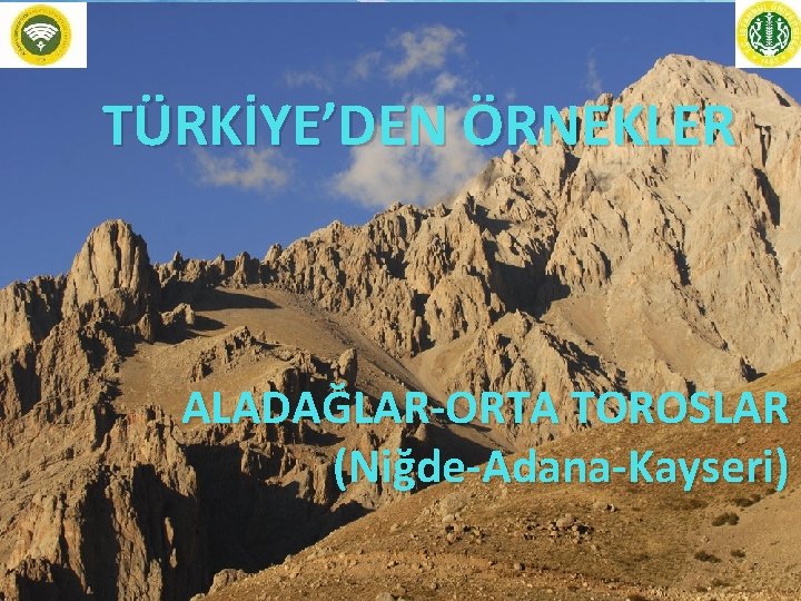 TÜRKİYE’DEN ÖRNEKLER ALADAĞLAR-ORTA TOROSLAR (Niğde-Adana-Kayseri) 