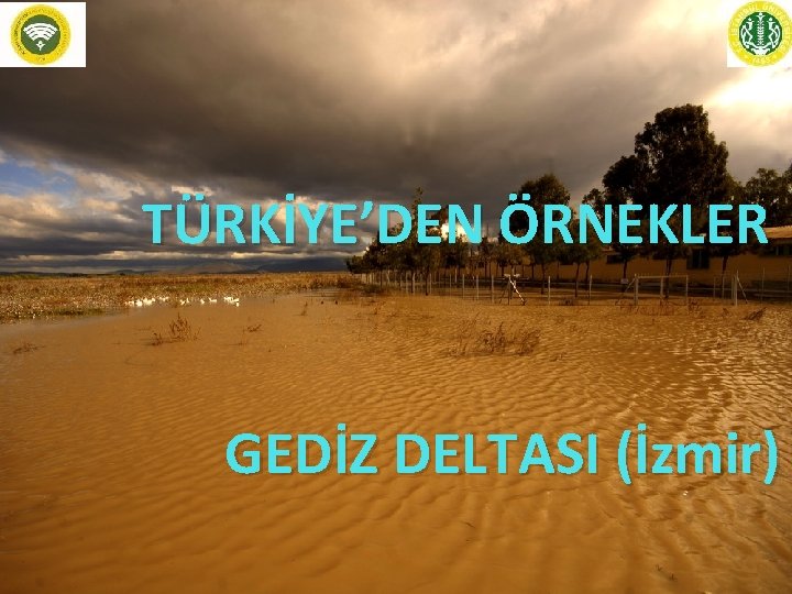 TÜRKİYE’DEN ÖRNEKLER GEDİZ DELTASI (İzmir) 