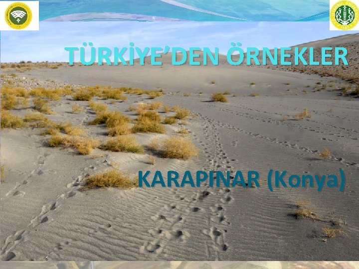 TÜRKİYE’DEN ÖRNEKLER KARAPINAR (Konya) 