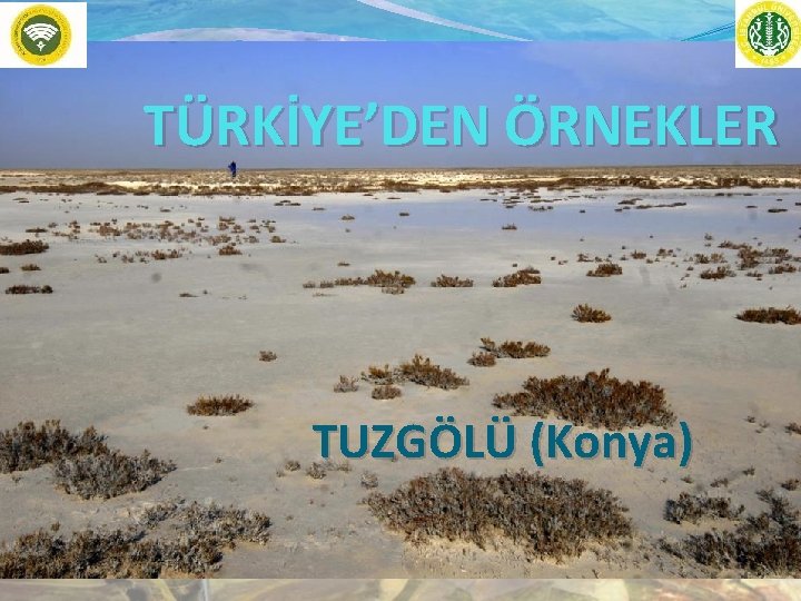 TÜRKİYE’DEN ÖRNEKLER TUZGÖLÜ (Konya) 