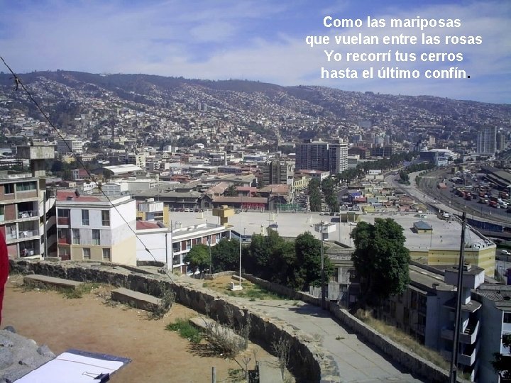 Como las mariposas que vuelan entre las rosas Yo recorrí tus cerros hasta el