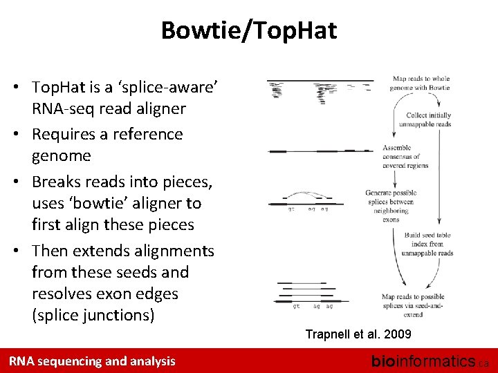 Bowtie/Top. Hat • Top. Hat is a ‘splice-aware’ RNA-seq read aligner • Requires a