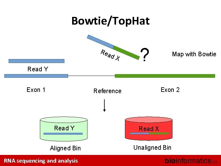 Bowtie/Top. Hat Rea d. X ? Map with Bowtie Read Y Exon 1 Exon