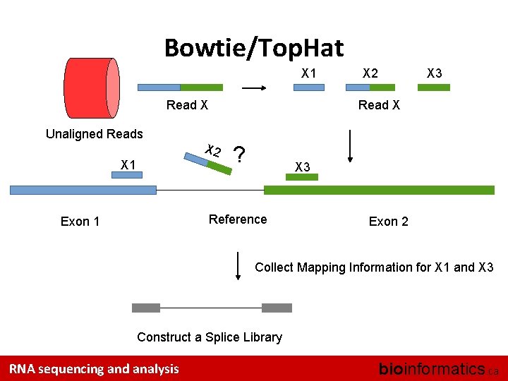 Bowtie/Top. Hat X 1 Read X Unaligned Reads X 1 X 2 X 3