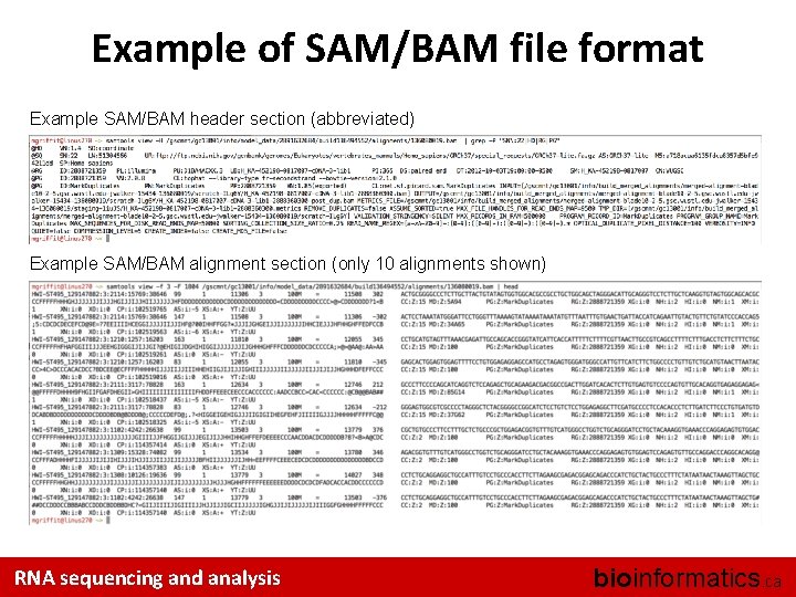 Example of SAM/BAM file format Example SAM/BAM header section (abbreviated) Example SAM/BAM alignment section