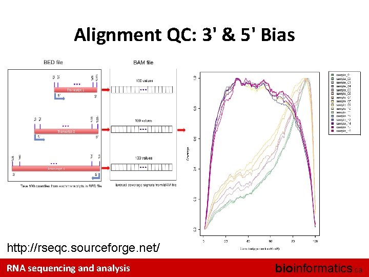 Alignment QC: 3' & 5' Bias http: //rseqc. sourceforge. net/ RNA sequencing and analysis
