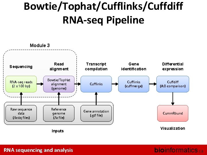 Bowtie/Tophat/Cufflinks/Cuffdiff RNA-seq Pipeline Module 3 Sequencing Read alignment Transcript compilation Gene identification Differential expression