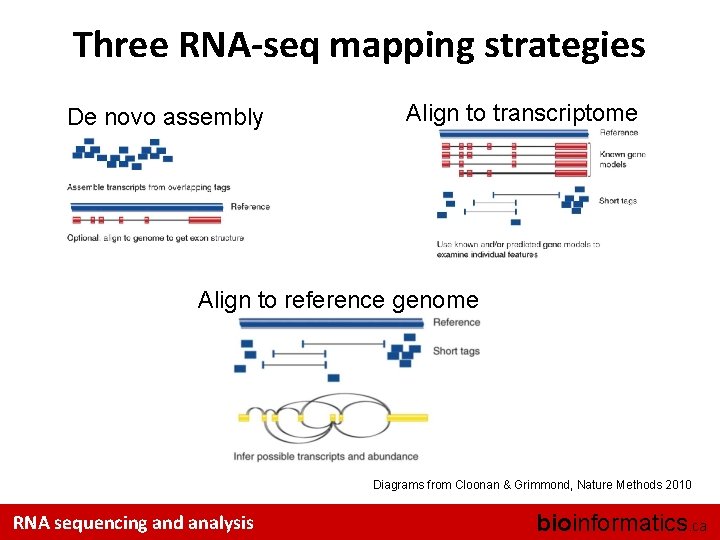 Three RNA-seq mapping strategies De novo assembly Align to transcriptome Align to reference genome