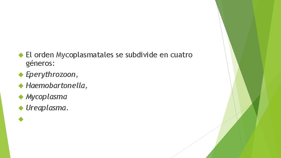  El orden Mycoplasmatales se subdivide en cuatro géneros: Eperythrozoon, Haemobartonella, Mycoplasma Ureaplasma. 