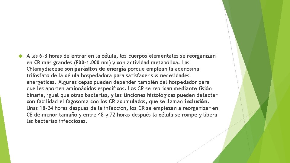  A las 6 -8 horas de entrar en la célula, los cuerpos elementales