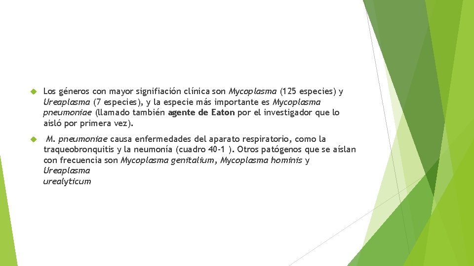  Los géneros con mayor signifiación clínica son Mycoplasma (125 especies) y Ureaplasma (7