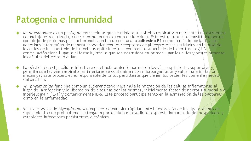 Patogenia e Inmunidad M. pneumoniae es un patógeno extracelular que se adhiere al epitelio