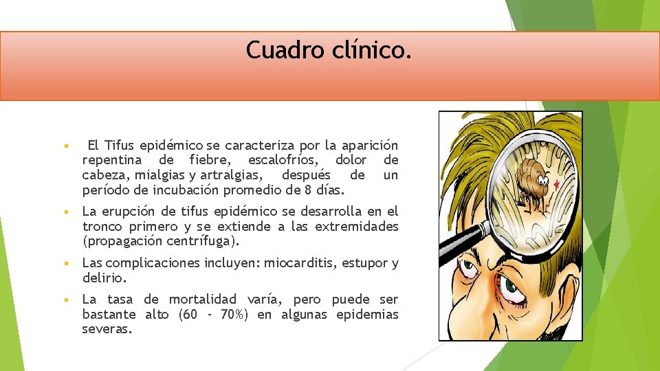 Cuadro clínico. § El Tifus epidémico se caracteriza por la aparición repentina de fiebre,