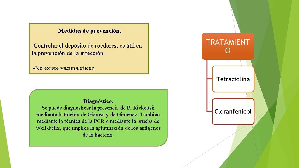 Medidas de prevención. -Controlar el depósito de roedores, es útil en la prevención de