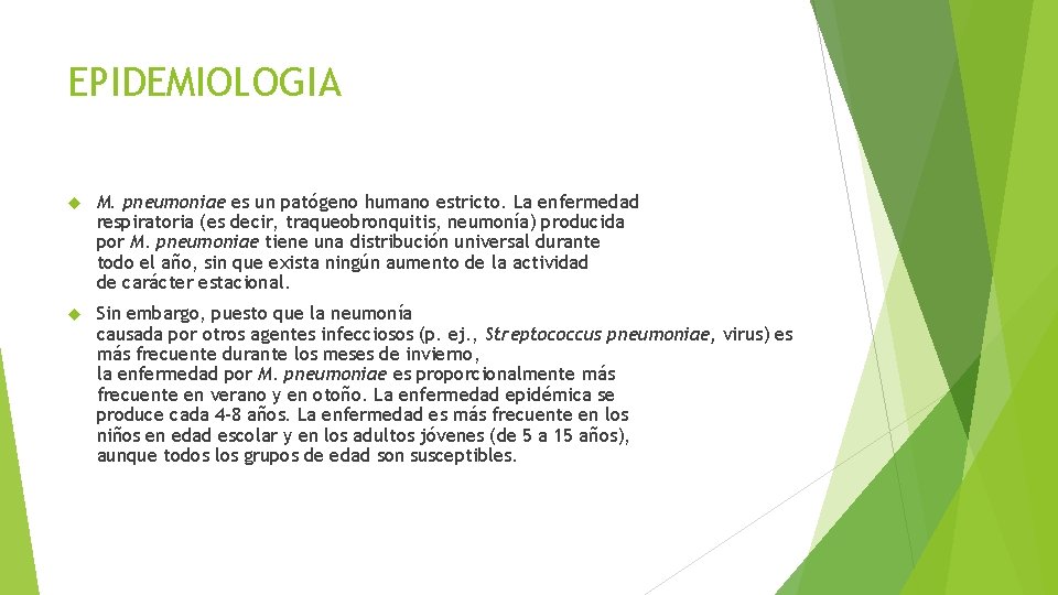 EPIDEMIOLOGIA M. pneumoniae es un patógeno humano estricto. La enfermedad respiratoria (es decir, traqueobronquitis,