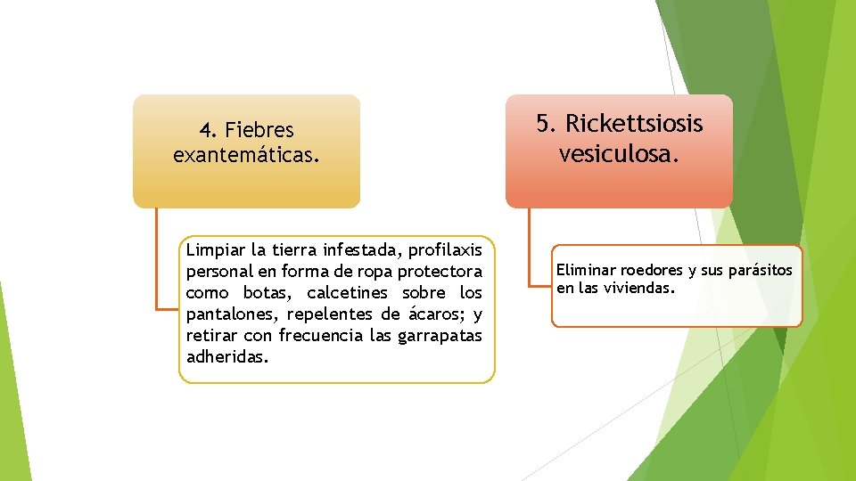 4. Fiebres exantemáticas. Limpiar la tierra infestada, profilaxis personal en forma de ropa protectora