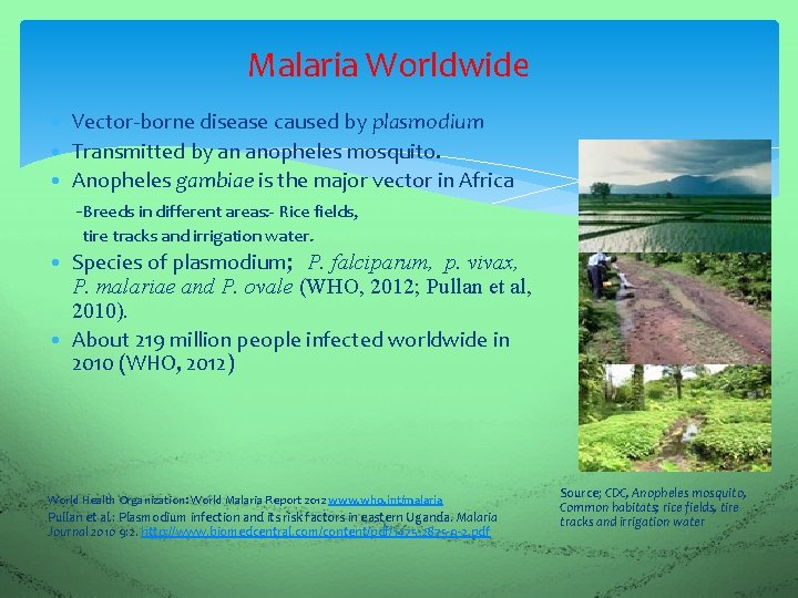 Malaria Worldwide • Vector-borne disease caused by plasmodium • Transmitted by an anopheles mosquito.